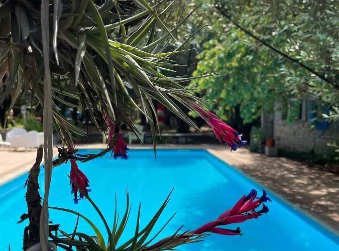דירה Big Relax With Swimming Pool And A Peaceful Garden In A Private Sestu