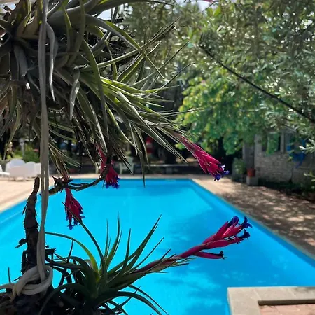 Apartment Big Relax With Swimming Pool And A Peaceful Garden In A Private Sestu
